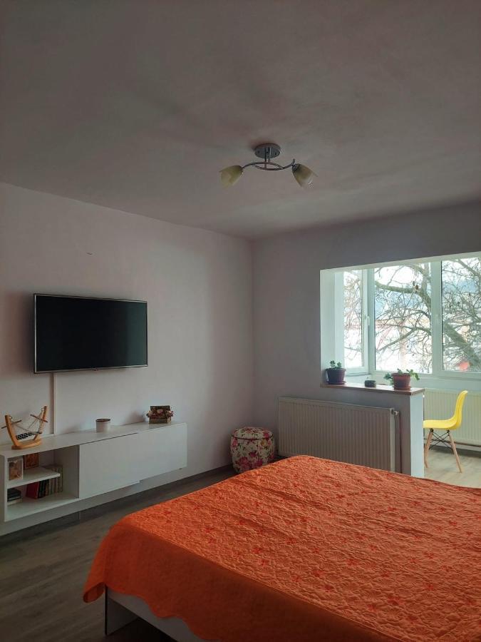 Apartament Spatios In בראשוב מראה חיצוני תמונה