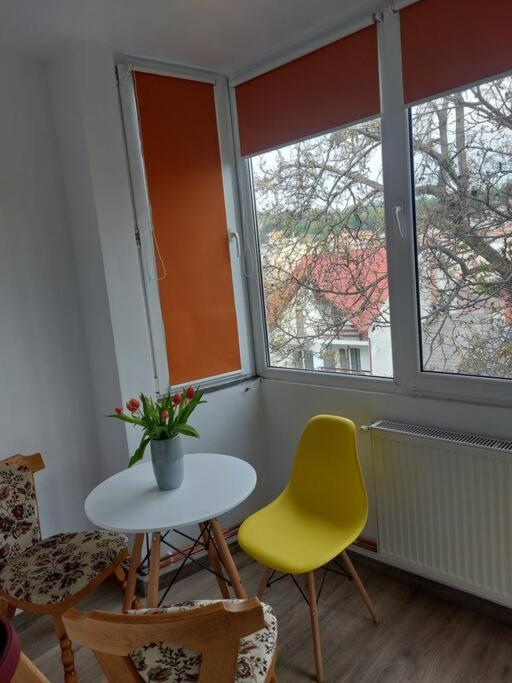 Apartament Spatios In בראשוב מראה חיצוני תמונה